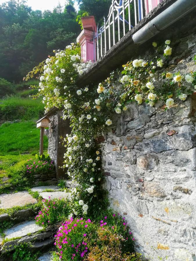 Shanty Calasca-Castiglione Exterior photo