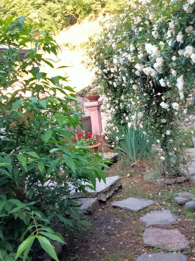Shanty Calasca-Castiglione Exterior photo